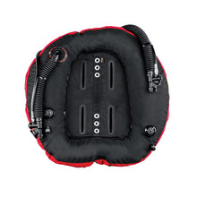 Load image into Gallery viewer, Hollis C60 LX Dual Wing