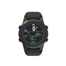 Load image into Gallery viewer, Shearwater Tern